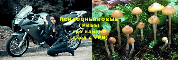 мет Пересвет