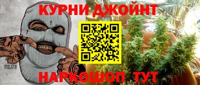 бошки Кингисепп