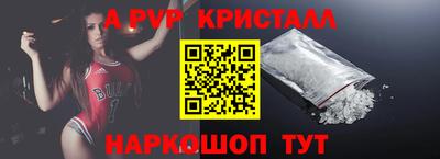 бошки Кингисепп