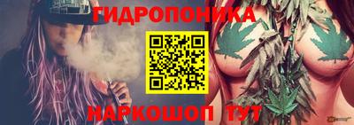 тгк Кимры