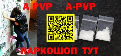 бошки Кингисепп