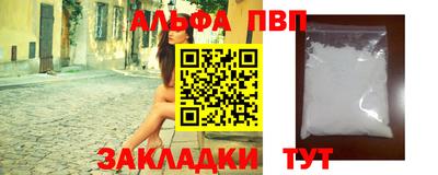 бошки Кингисепп