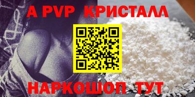 бошки Кингисепп