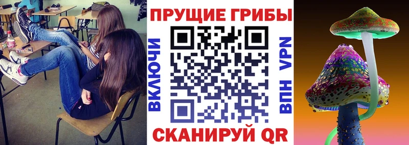 Псилоцибиновые грибы GOLDEN TEACHER  OMG маркетплейс  Югорск 