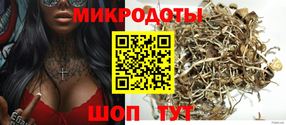 даркнет сайт  Псилоцибиновые грибы GOLDEN TEACHER  Югорск  Галлюциногенные грибы Magic Shrooms 