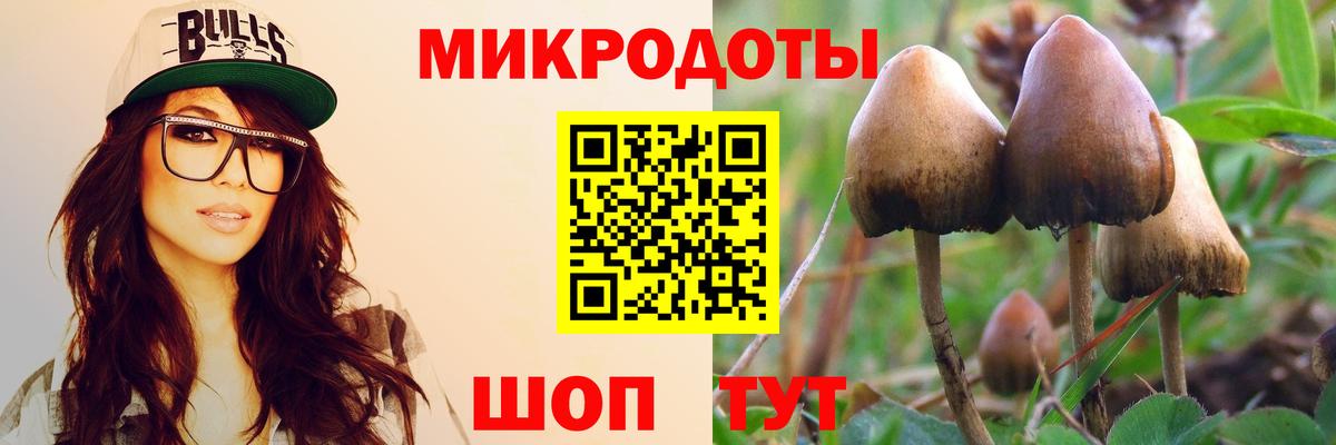 Галлюциногенные грибы ЛСД Югорск